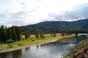 2012-Yellowstone0003