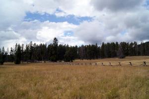 2012-Yellowstone0007