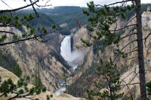 2012-Yellowstone0015