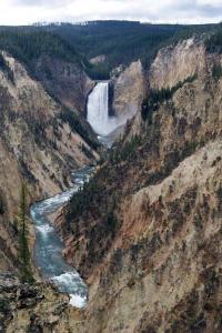 2012-Yellowstone0016