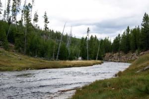 2012-Yellowstone0021