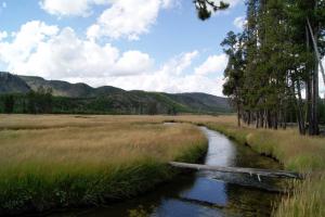 2012-Yellowstone0029