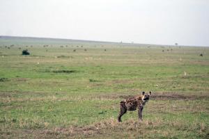 2017-Kenya0181