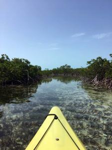 2018-TurksAndCaicos0044