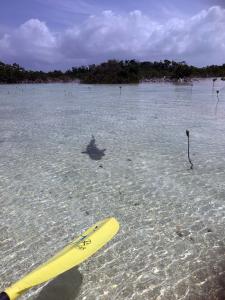 2018-TurksAndCaicos0060